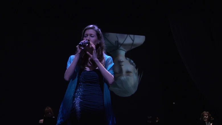 NieR Music Concert & Talk Live screenshot 1
