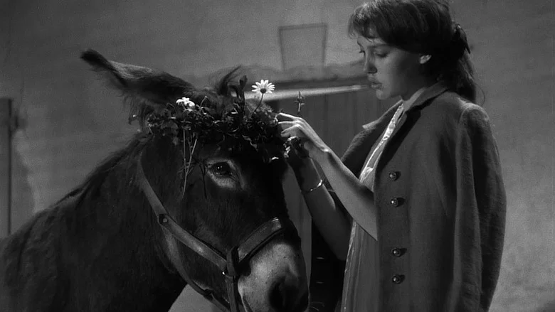 Au Hasard Balthazar screenshot 1