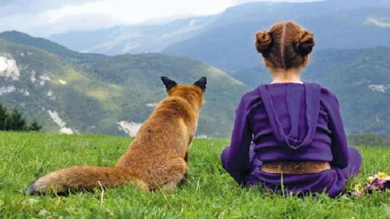 The Fox and the Child screenshot 2