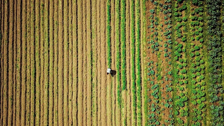 Our Soil is Our Heritage screenshot 7