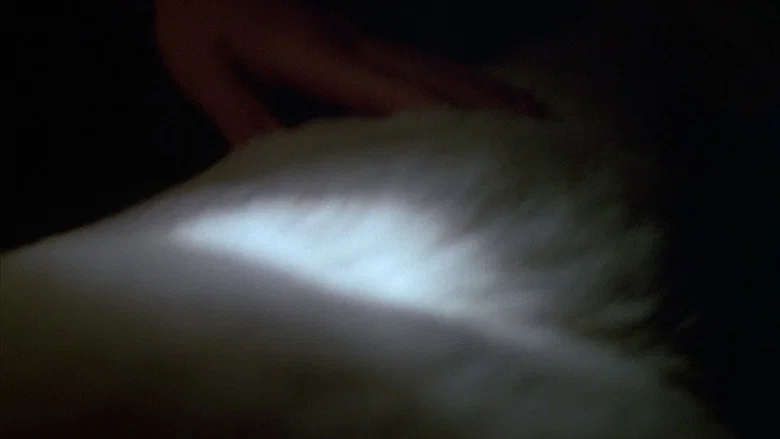 White Dog screenshot 8