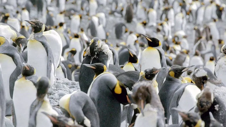 Antarctica: The Frozen Time screenshot 6