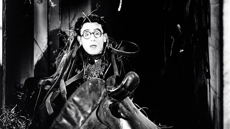 Grandma's Boy screenshot 1
