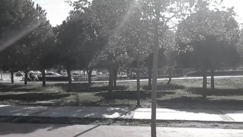 Mercan: Skate King screenshot 1