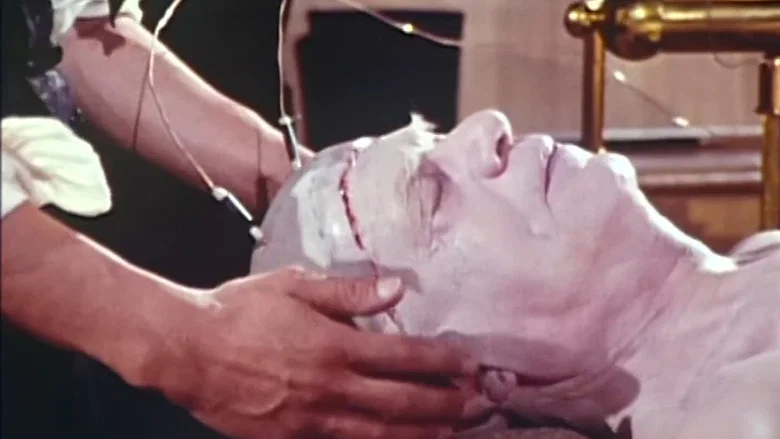 Frankenstein: A Love Story screenshot 4