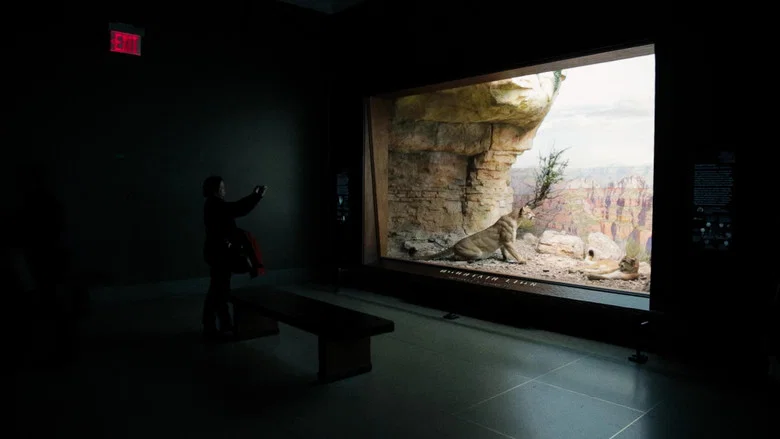 Curiosity and Control screenshot 2
