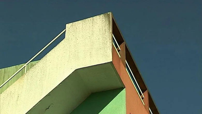 Pessac - Living in a Laboratory screenshot 1