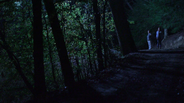 Below the Trees screenshot 1