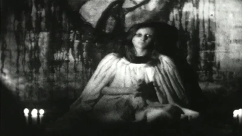 Salome screenshot 2