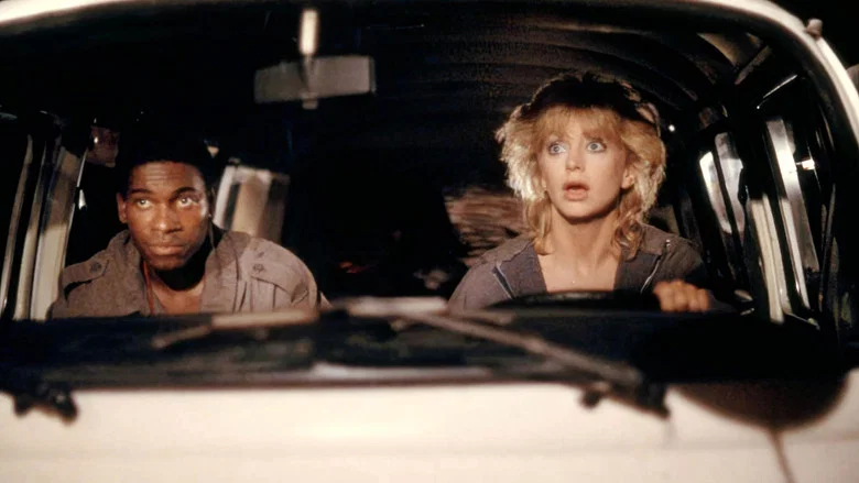 Wildcats screenshot 5