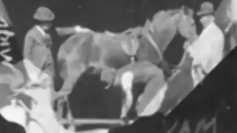 Horse Shoeing screenshot 1