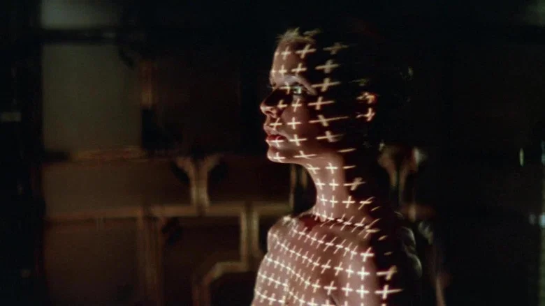 Looker screenshot 3