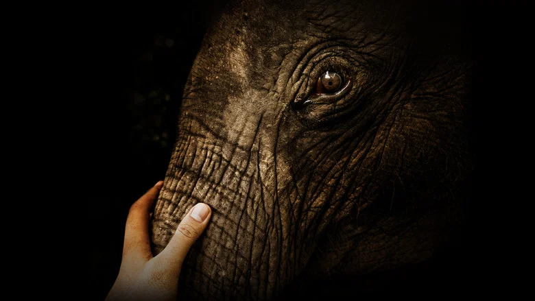 Namibia, Sanctuary of Giants screenshot 2