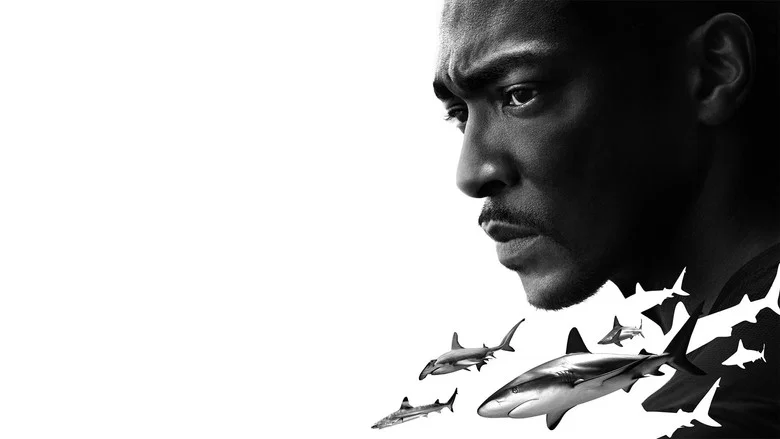 Shark Beach with Anthony Mackie screenshot 3