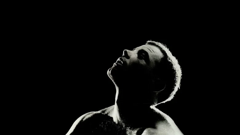 Midnight Express screenshot 7