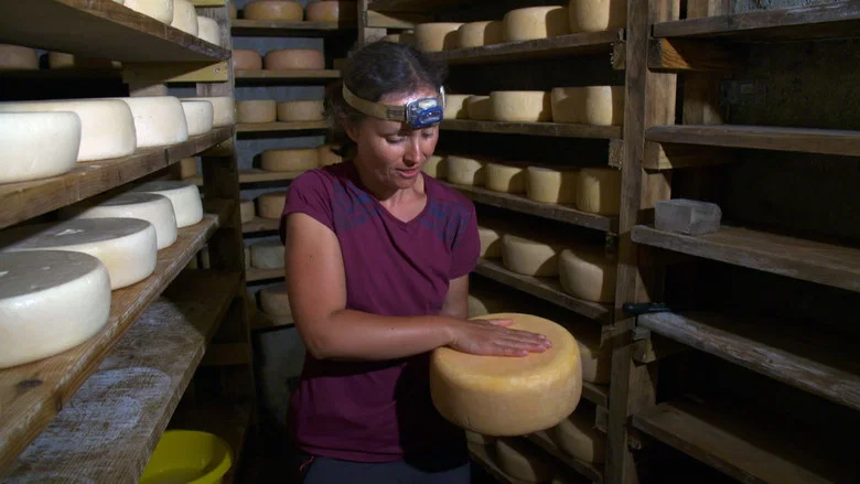 Fromages de montagne, au sommet du gout ? screenshot 3