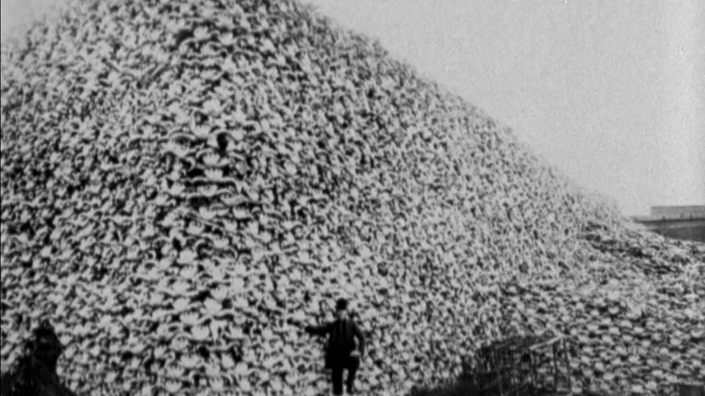 The Great Buffalo Saga screenshot 2