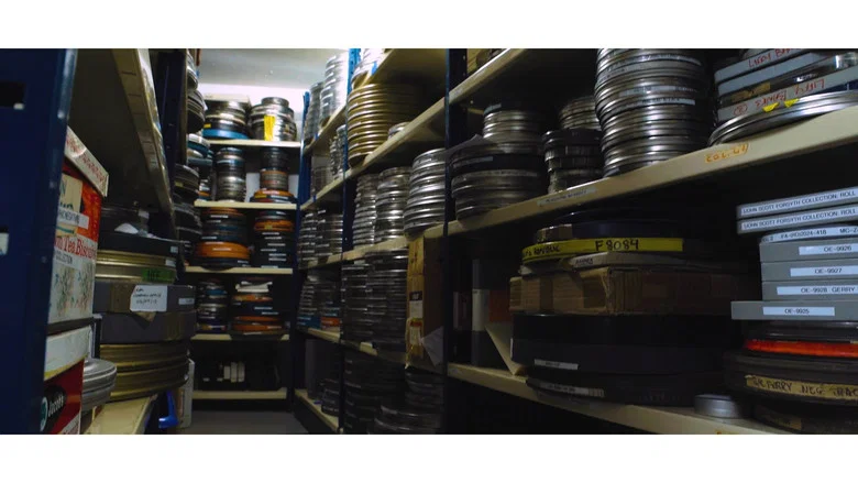 Archiving Ireland screenshot 1