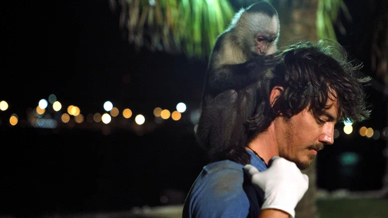Who's Your Monkey? screenshot 4