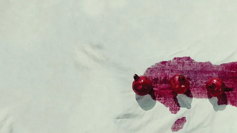 The Color of Pomegranates screenshot 1