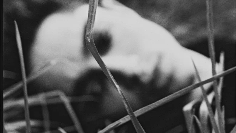 Amos, Vogel screenshot 3