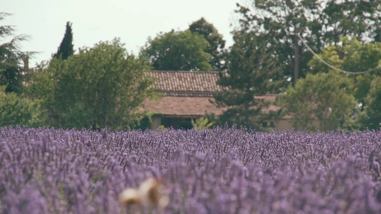 Trois oiseaux bleus screenshot 1