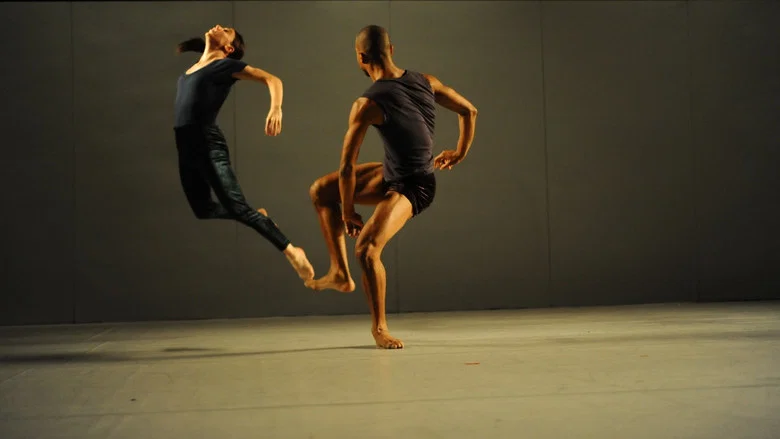 The Art of Ohad Naharin - Volume 2 (Sadh21) screenshot 2