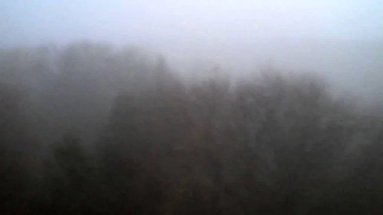 The Land Above The Trees screenshot 1