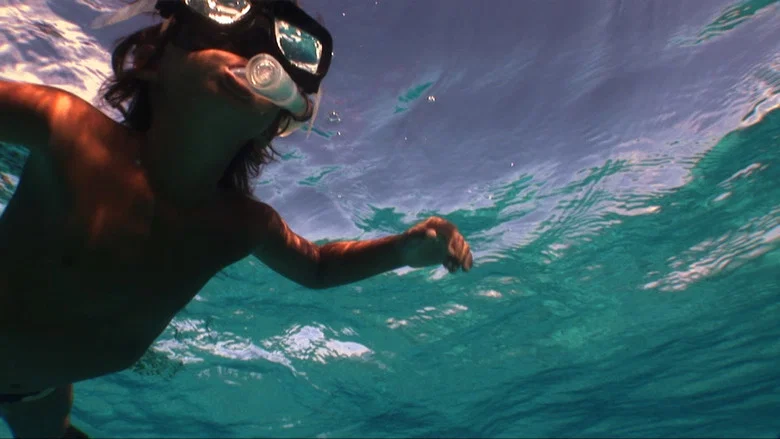 To the Sea screenshot 7