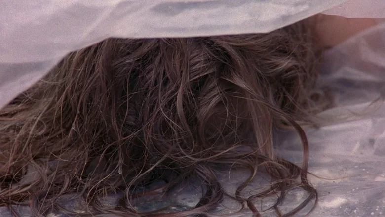 Twin Peaks screenshot 7