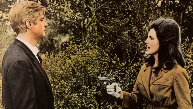 P.J. screenshot 4