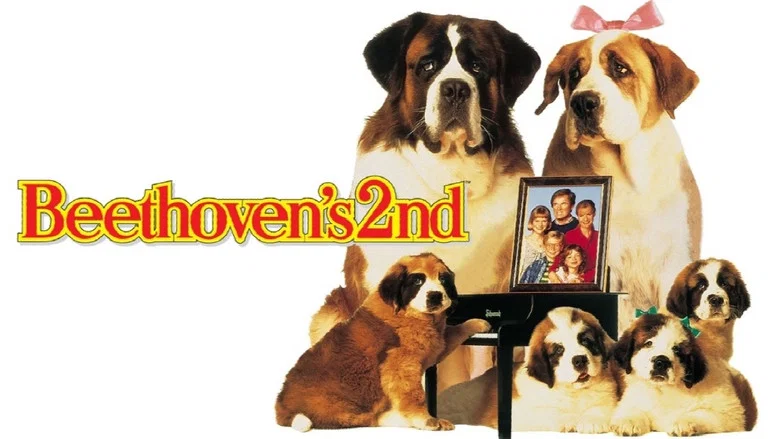 Beethoven's 2nd screenshot 5