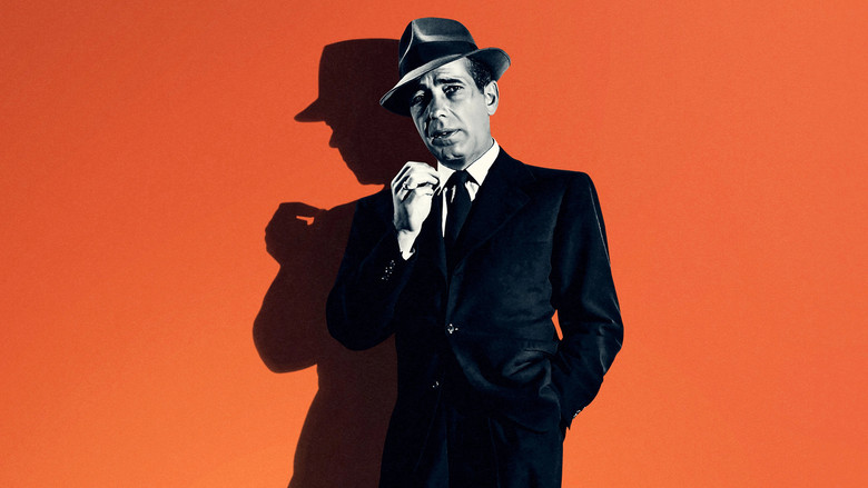 Bogart: Life Comes in Flashes screenshot 4