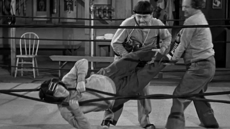 Fling in the Ring screenshot 2