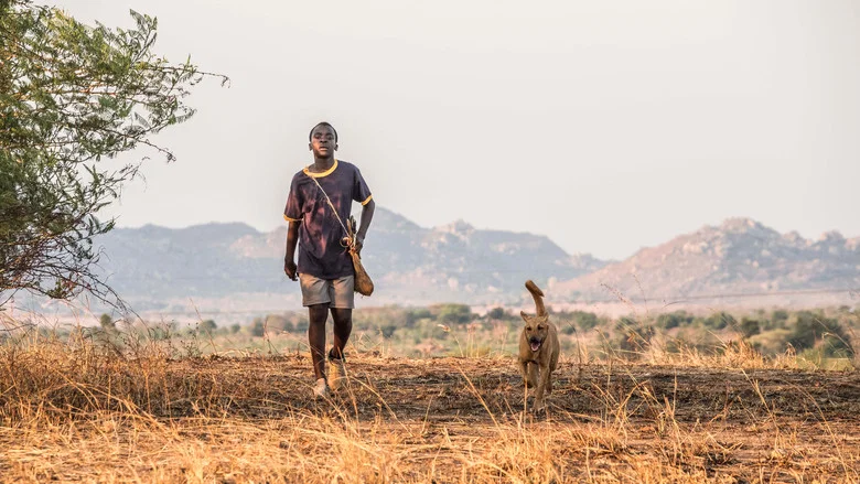 The Boy Who Harnessed the Wind screenshot 6