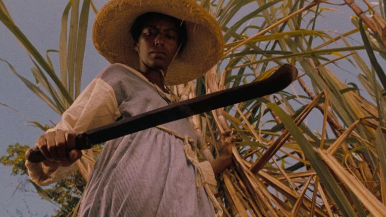 Sankofa screenshot 1