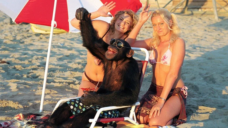 Funky Monkey screenshot 5