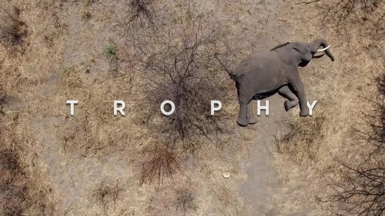 Trophy screenshot 4