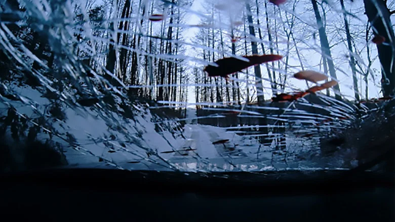 Janus screenshot 1