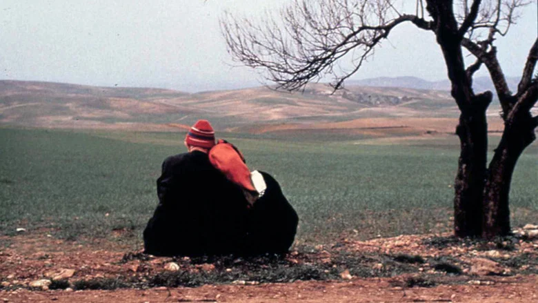 Autumn, October In Algiers screenshot 2