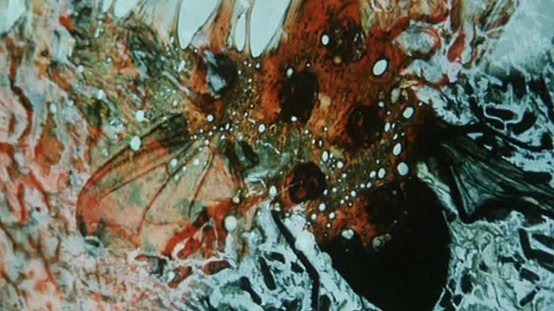 The Spirit of Witkacy screenshot 2