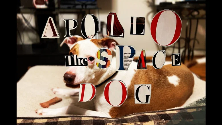 Apollo: The Space Dog screenshot 1