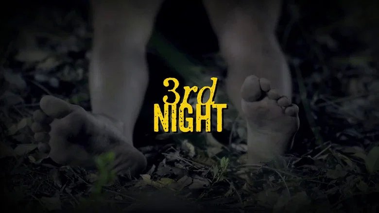 3rd Night screenshot 1