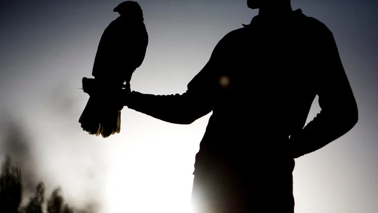 Feathered Cocaine screenshot 1