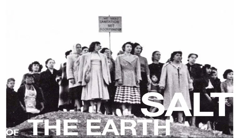 Salt of the Earth screenshot 2