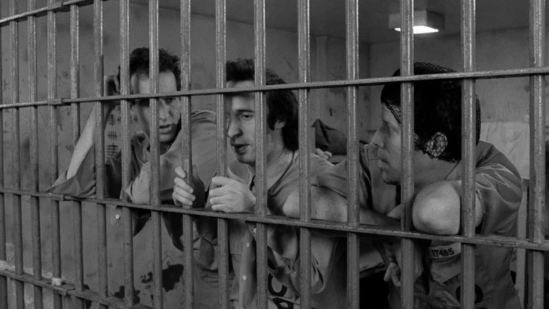 Down by Law screenshot 6