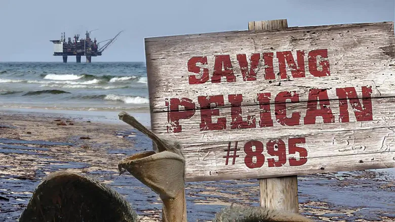 Saving Pelican 895 screenshot 1