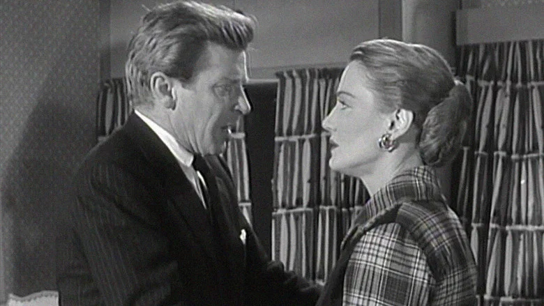 The Intimate Stranger screenshot 2
