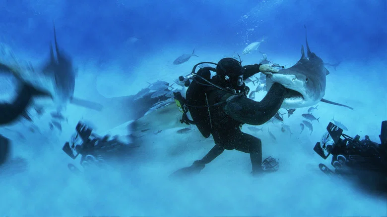 Man vs. Shark screenshot 1