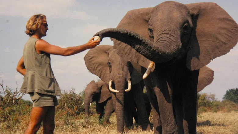 A Life Among Elephants screenshot 1